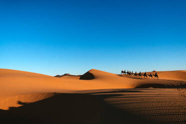 Der warme Sonnenuntergangshimmel über der Merzouga-Wüste in Marokko lässt die Silhouetten einer Kamelkarawane entstehen - ADSF50353