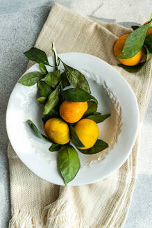 Frische Mandarinen auf einem klassischen weißen Teller mit einer strukturierten beigen Serviette, die rustikalen Charme und Schlichtheit ausstrahlt. - ADSF50384