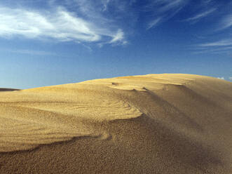 Portugal, Algarve, Sanddüne von Praia da Bordeira - DSGF02497