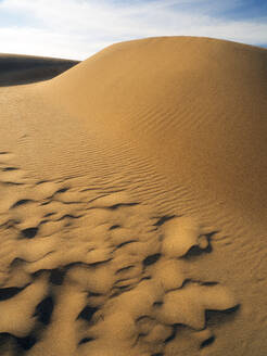 Portugal, Algarve, Sanddüne von Praia da Bordeira - DSGF02498