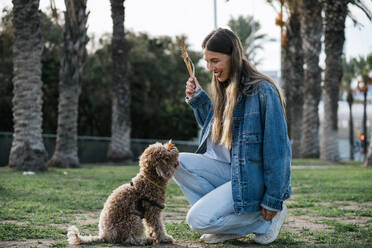 Happy young woman holding stick and crouching near poodle dog at park - GDBF00116