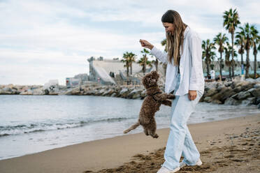 Young woman playing with poodle dog jumping at beach - GDBF00127