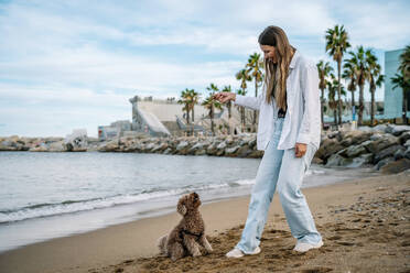 Happy young woman playing with poodle pet dog at beach - GDBF00128