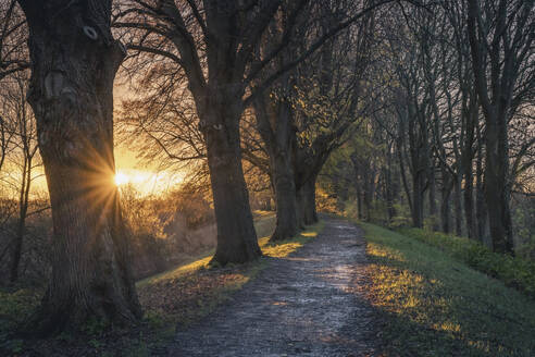 Deutschland, Hamburg, Fußweg zur Bunthauser Spitze bei Herbstsonnenaufgang - KEBF02813