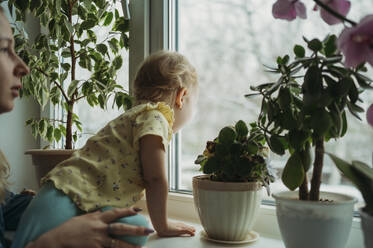 Girl looking through window at home - ANAF02556