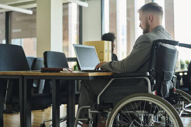 Geschäftsmann im Rollstuhl arbeitet am Laptop am Schreibtisch im Büro - DSHF01462
