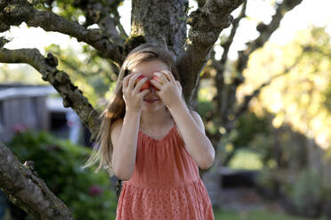 Smiling girl holding apple fruits over face in garden - FLLF00903