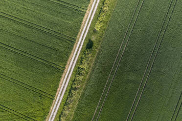 Germany, Bavaria, Aerial view of country road stretching between green fields - RUEF04267