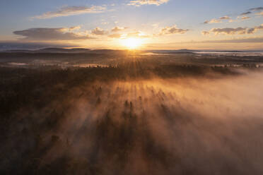 Germany, Bavaria, Aerial view of forest at foggy autumn sunrise - RUEF04279