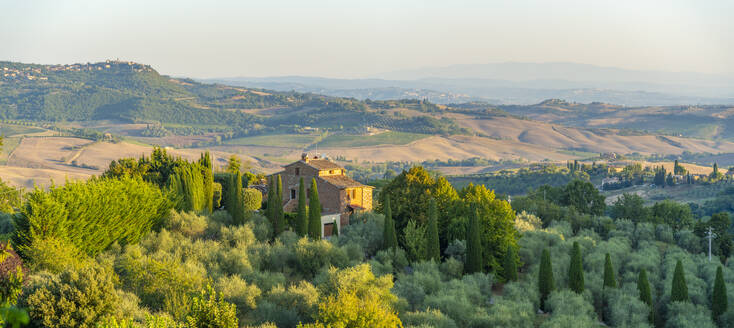 Blick auf Schloss, Olivenbäume und Weinberge, Montepulciano, Provinz Siena, Toskana, Italien, Europa - RHPLF29927