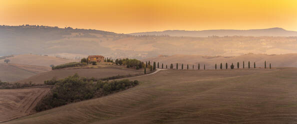 Blick auf die goldene toskanische Landschaft bei Pienza, Pienza, Provinz Siena, Toskana, Italien, Europa - RHPLF29937