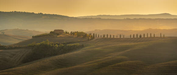 View of golden Tuscan landscape near Pienza, Pienza, Province of Siena, Tuscany, Italy, Europe - RHPLF29940