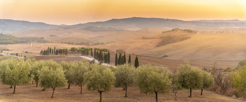 Blick auf die goldene toskanische Landschaft bei Pienza, Pienza, Provinz Siena, Toskana, Italien, Europa - RHPLF29941