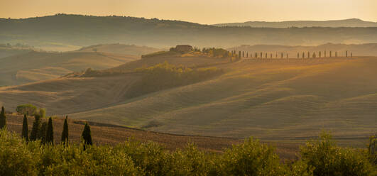 Blick auf die goldene toskanische Landschaft bei Pienza, Pienza, Provinz Siena, Toskana, Italien, Europa - RHPLF29945