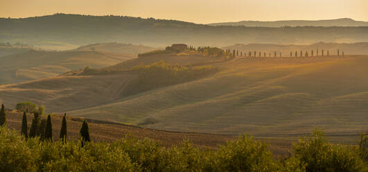 View of golden Tuscan landscape near Pienza, Pienza, Province of Siena, Tuscany, Italy, Europe - RHPLF29945