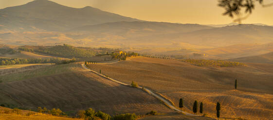 View of golden Tuscan landscape near Pienza, Pienza, Province of Siena, Tuscany, Italy, Europe - RHPLF29948