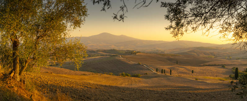 Blick auf die goldene toskanische Landschaft bei Pienza, Pienza, Provinz Siena, Toskana, Italien, Europa - RHPLF29949