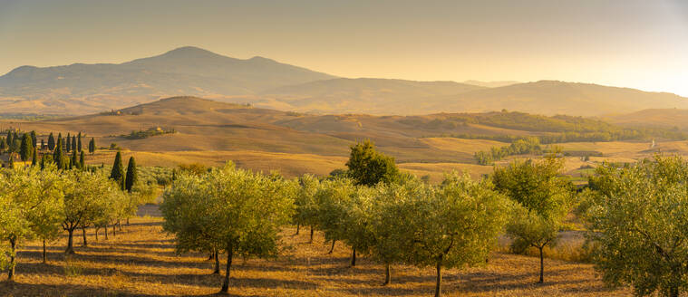 Blick auf die goldene toskanische Landschaft bei Pienza, Pienza, Provinz Siena, Toskana, Italien, Europa - RHPLF29950