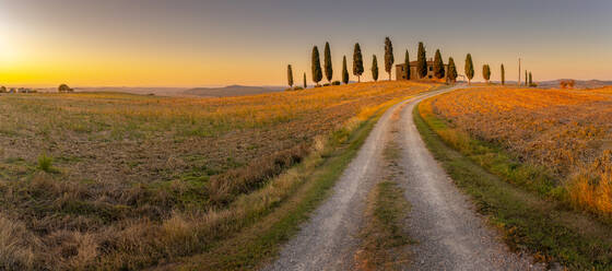 Blick auf Zypressen in der Landschaft bei Pienza, Val d'Orcia, UNESCO-Weltkulturerbe, Provinz Siena, Toskana, Italien, Europa - RHPLF29951