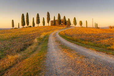 Blick auf Zypressen in der Landschaft bei Pienza, Val d'Orcia, UNESCO-Weltkulturerbe, Provinz Siena, Toskana, Italien, Europa - RHPLF29952