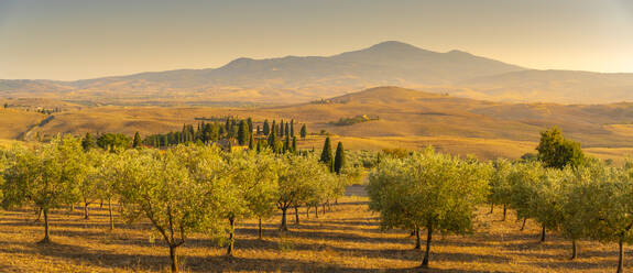 Blick auf die goldene toskanische Landschaft bei Pienza, Pienza, Provinz Siena, Toskana, Italien, Europa - RHPLF29953