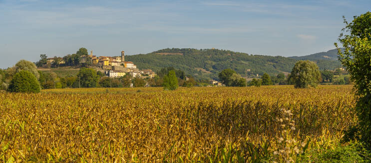 Blick auf Monterchi und die umliegende Landschaft, Provinz Arezzo, Toskana, Italien, Europa - RHPLF30006