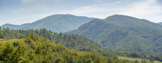 Blick auf Wald und Landschaft bei Pennabilli, Provinz San Rimini, Emilia-Romagna, Italien, Europa - RHPLF30021