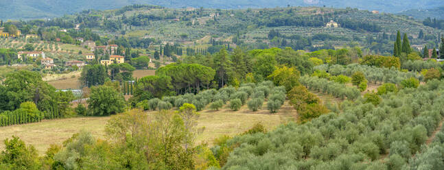 View of Tuscan landscape from Passeggio del Prato, Arezzo, Province of Arezzo, Tuscany, Italy, Europe - RHPLF30064