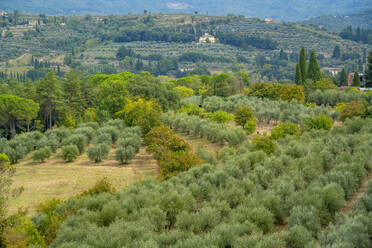 View of Tuscan landscape from Passeggio del Prato, Arezzo, Province of Arezzo, Tuscany, Italy, Europe - RHPLF30065