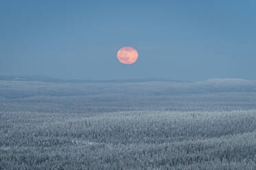 Blick vom Kuntivaara-Fjell auf den Vollmond, der über den Taiga-Wäldern in Russland, Finnland und Europa aufgeht - RHPLF30124