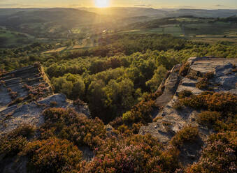 Blick in Richtung Hathersage und Hope Valley im Abendsonnenlicht von Millstone Edge mit blühendem Heidekraut, Peak District National Park, Derbyshire, England, Vereinigtes Königreich, Europa - RHPLF30161