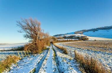 Snowy footpath near the village of Wilmington, South Downs National Park, East Sussex, England, United Kingdom, Europe - RHPLF30272