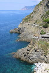 Küstenlinie des Nationalparks Cinque Terre, UNESCO-Weltkulturerbe, Ligurien, Italien, Europa - RHPLF30337