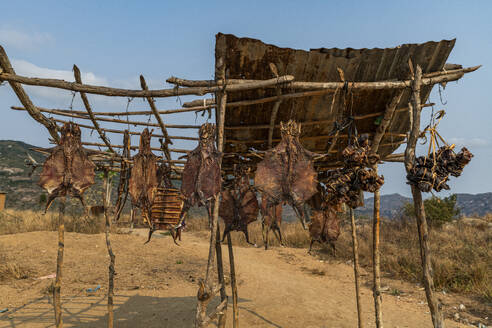 Dried rats for sale, Sumbe, Kwanza Sul, Angola, Africa - RHPLF30425