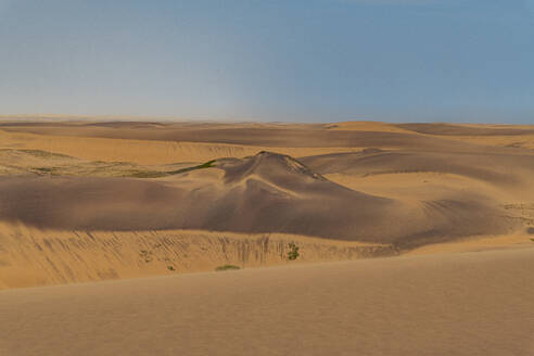 Rosa Sanddünen, Wüste Namibe (Namib), Iona-Nationalpark, Namibe, Angola, Afrika - RHPLF30459