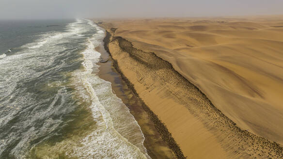 Luftaufnahme einer großen Anzahl von Kormoranen auf den Sanddünen entlang der Atlantikküste, Namibe (Namib) Wüste, Iona National Park, Namibe, Angola, Afrika - RHPLF30469