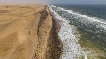 Luftaufnahme einer großen Anzahl von Kormoranen auf den Sanddünen entlang der Atlantikküste, Namibe (Namib) Wüste, Iona National Park, Namibe, Angola, Afrika - RHPLF30473