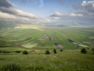 Blühende Blumen und Linsen auf dem Piano Grande, Nationalpark Monti Sibillini, Castelluccio di Norcia, Perugia, Italien, Europa - RHPLF30571