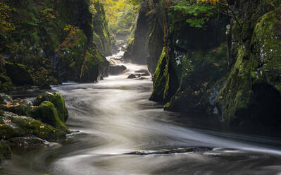 Fairy Glen, Betws y Coed, Conwy, Snowdonia, Wales, Vereinigtes Königreich, Europa - RHPLF30576