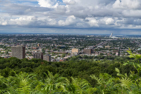 Blick über Montreal vom Mont Royal, Montreal, Quebec, Kanada, Nordamerika - RHPLF30582