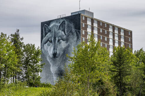 Wolf house painting, Thompson, Manitoba, Canada, North America - RHPLF30630