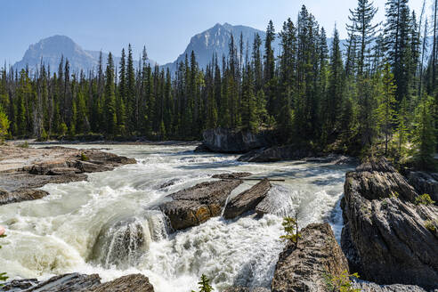 Natural Bridge Lower Falls, Yoho-Nationalpark, UNESCO-Welterbe, British Columbia, Kanada, Nordamerika - RHPLF30659