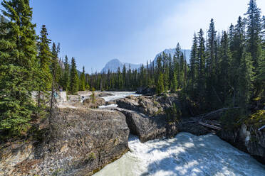 Natural Bridge Lower Falls, Yoho-Nationalpark, UNESCO-Welterbe, British Columbia, Kanada, Nordamerika - RHPLF30663