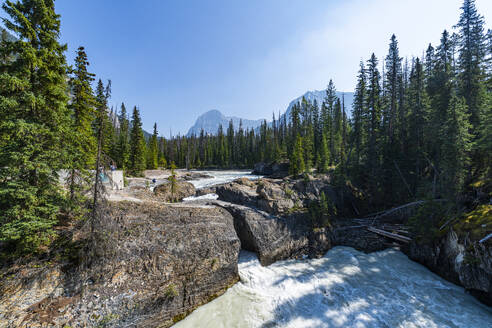 Natural Bridge Lower Falls, Yoho-Nationalpark, UNESCO-Welterbe, British Columbia, Kanada, Nordamerika - RHPLF30663