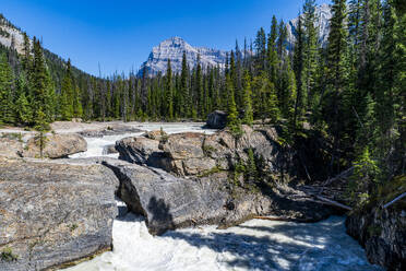 Natural Bridge Lower Falls, Yoho-Nationalpark, UNESCO-Welterbe, British Columbia, Kanada, Nordamerika - RHPLF30665