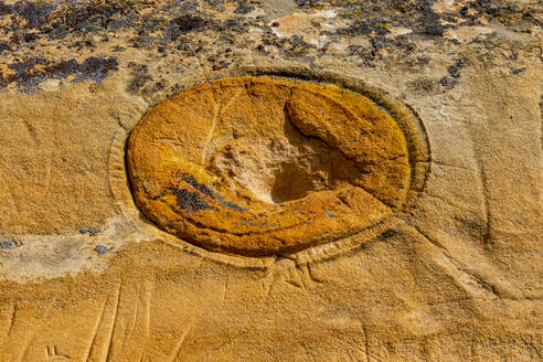 Indian rock carving, Writing-on-Stone Provincial Park, UNESCO World Heritage Site, Alberta, Canada, North America - RHPLF30720