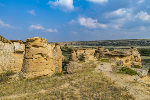 Hoodoos along the Milk River, Writing-on-Stone Provincial Park, UNESCO World Heritage Site, Alberta, Canada, North America - RHPLF30727