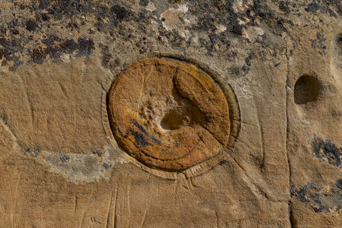 Indian rock carving, Writing-on-Stone Provincial Park, UNESCO World Heritage Site, Alberta, Canada, North America - RHPLF30730