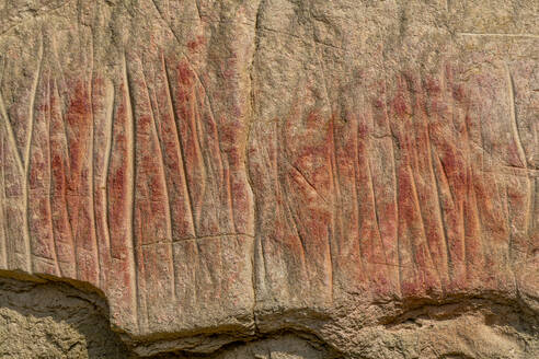 Indian rock carving, Writing-on-Stone Provincial Park, UNESCO World Heritage Site, Alberta, Canada, North America - RHPLF30731