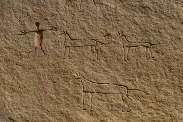 Indianische Felszeichnungen, Writing-on-Stone Provincial Park, UNESCO-Weltkulturerbe, Alberta, Kanada, Nordamerika - RHPLF30733